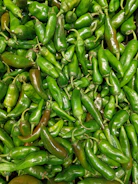 Fresh green G4 chillies spread out on a woven mat, ready for packing.