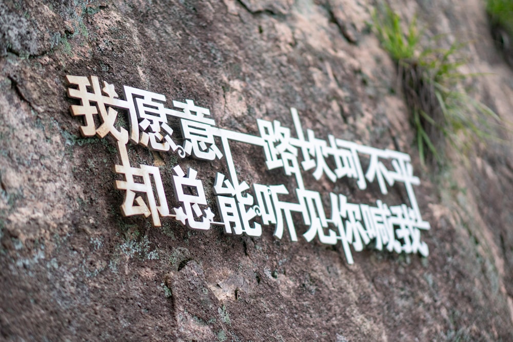 a close up of a sign on a rock