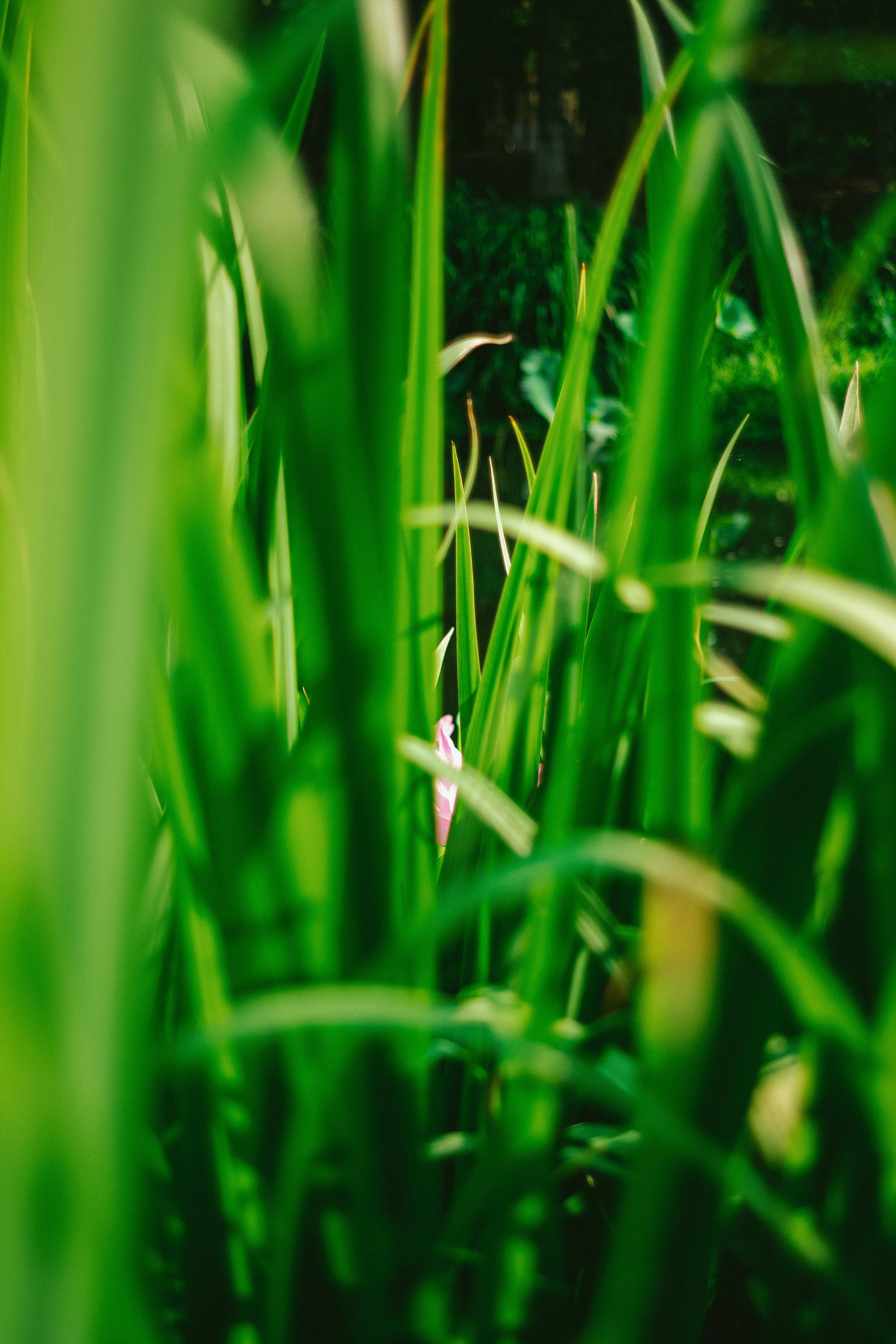 Photo by tommaomaoer