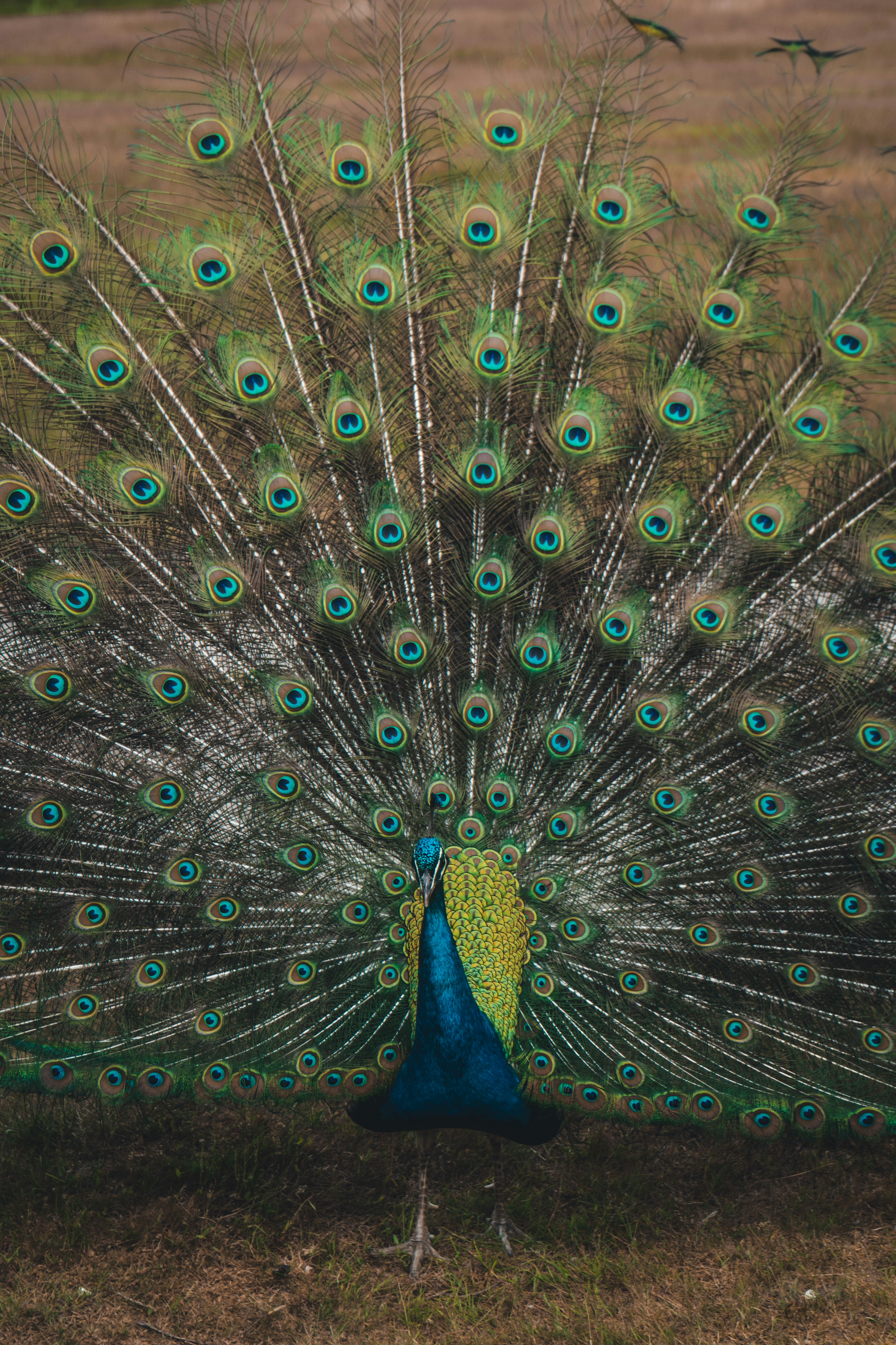 Photo by ok_photography