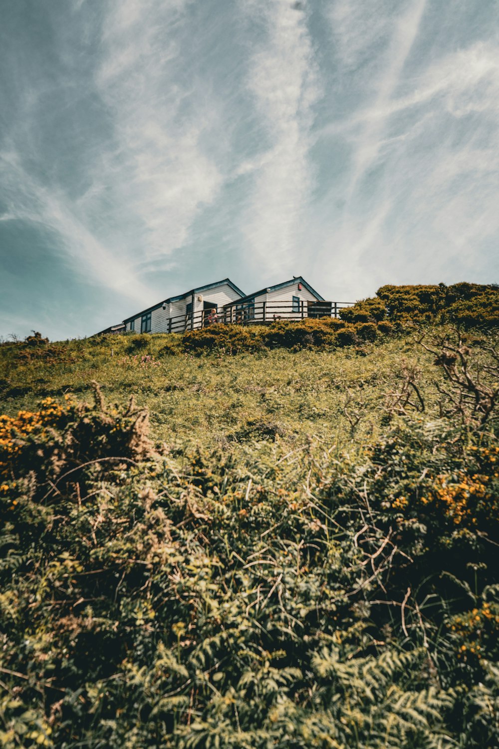 a house sitting on top of a lush green hillside