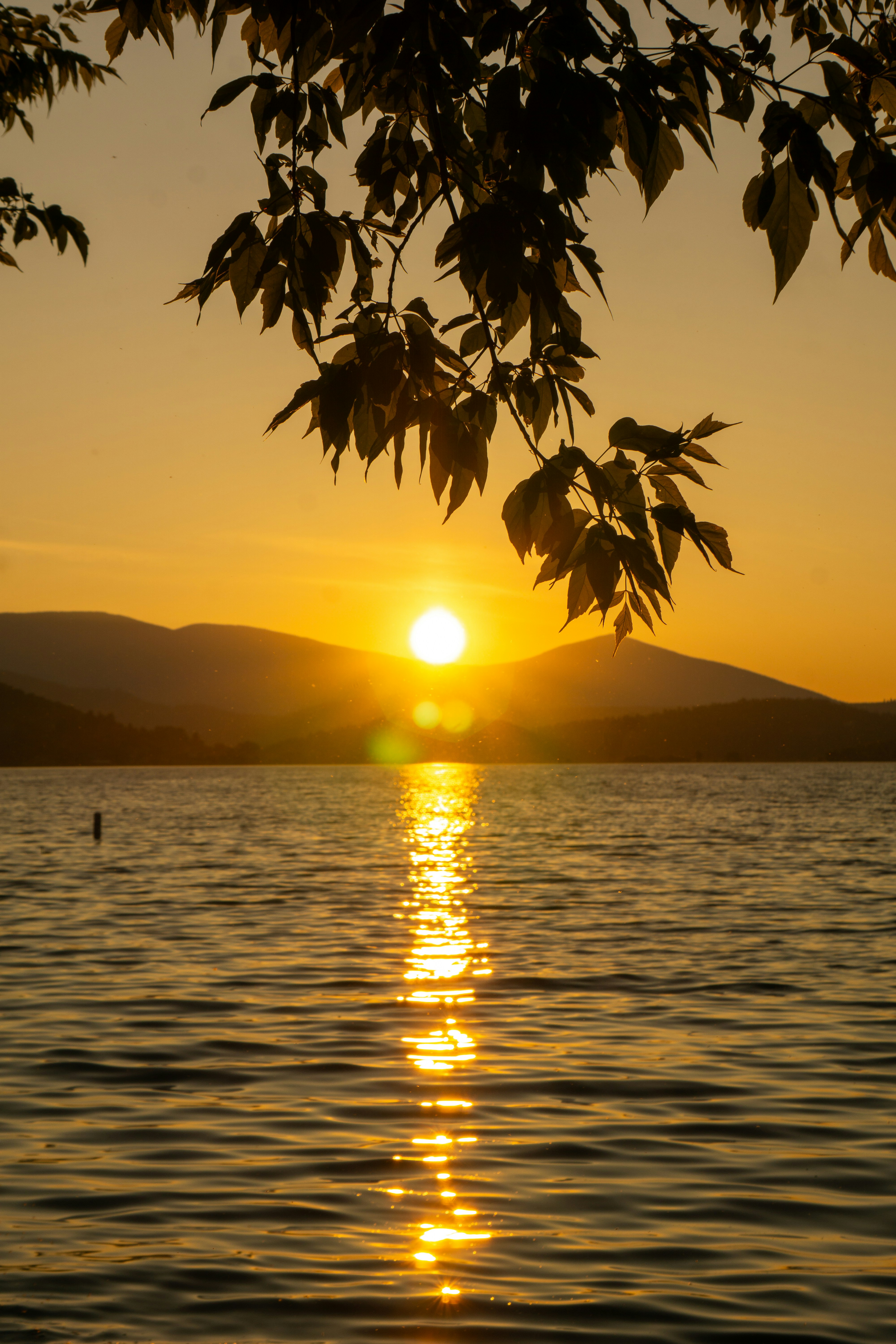 Photo by graywolfsphotography