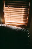Modern living room with beige and black window blinds partially open, letting in soft natural light.