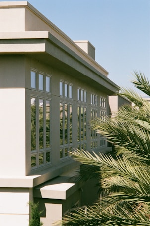 A modern building with large windows reflecting the surroundings is partially obscured by lush palm fronds. The architectural style is contemporary, featuring clean lines and a light-colored facade.