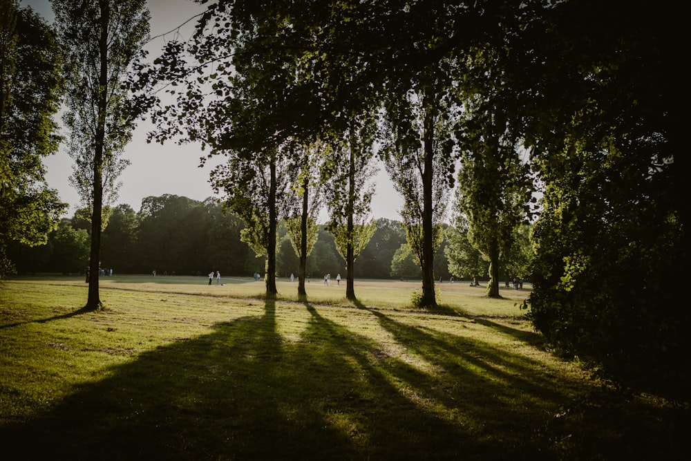 a grassy field with trees and people in the distance