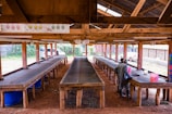 An open-air wooden structure with several long tables lined up, possibly used for drying or sorting agricultural produce. There are two people standing at the nearest table, engaged in handling some materials. The roof is supported by wooden beams, and there are vehicles parked outside along a fence in the background.