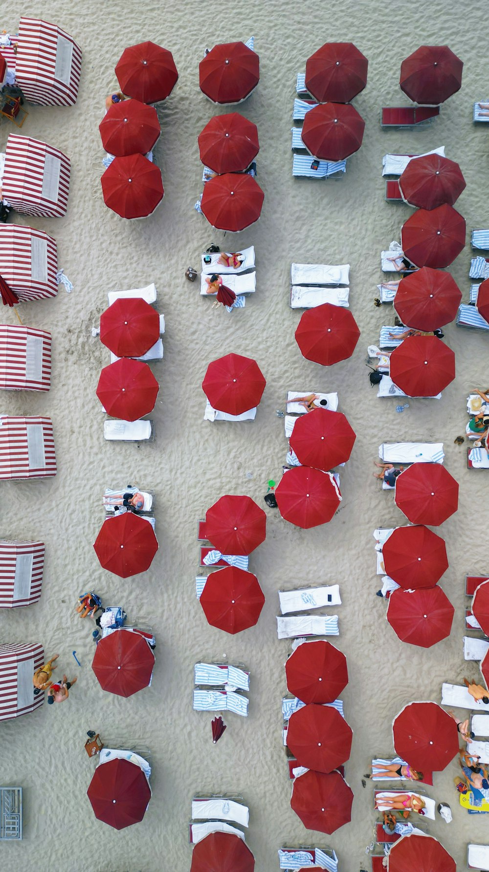 eine gruppe roter sonnenschirme, die auf einem sandstrand sitzen