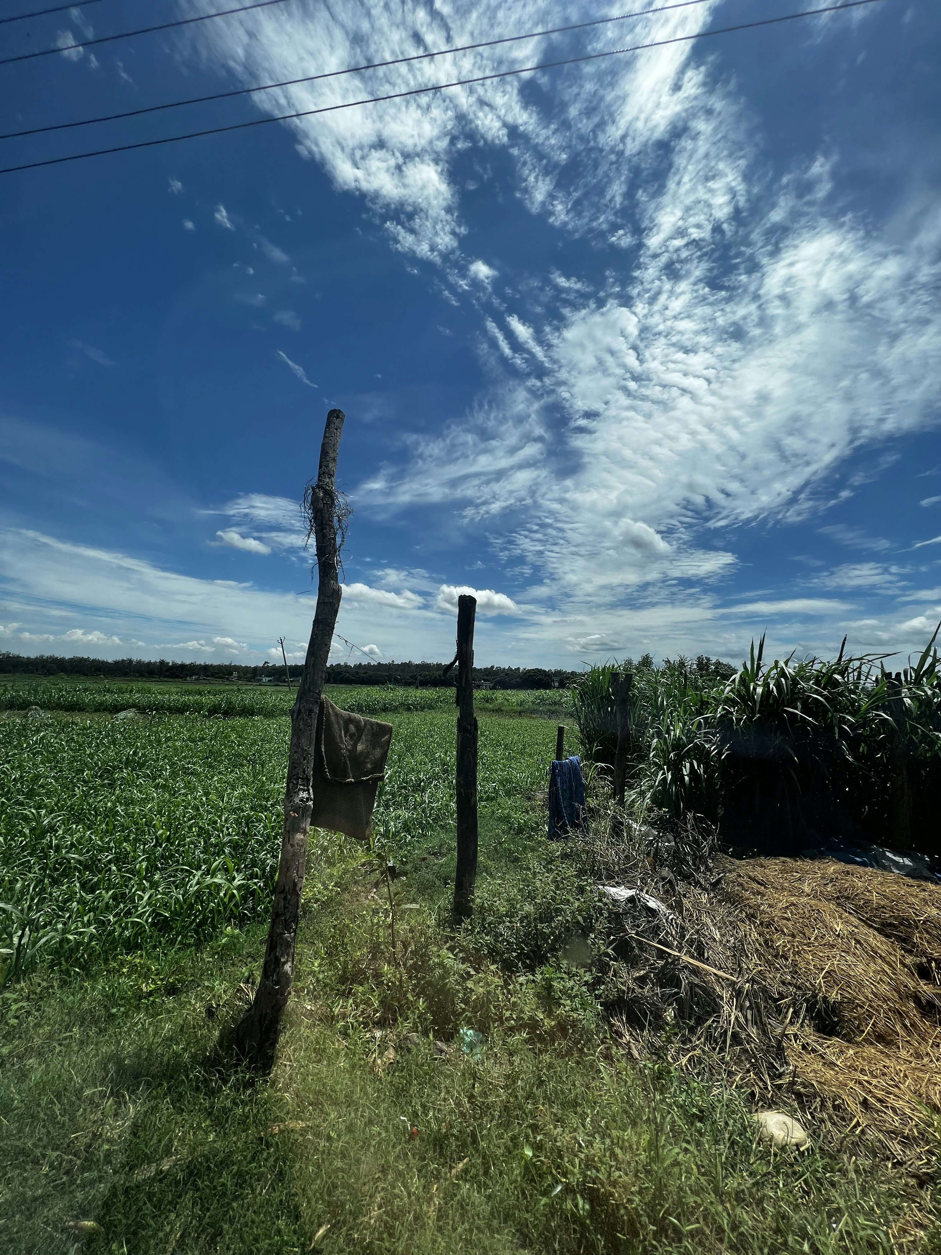 a fence in a field with a blue sky in the background
