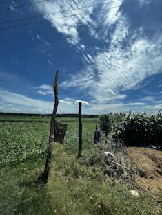 a fence in a field with a blue sky in the background