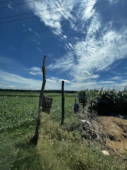 a fence in a field with a blue sky in the background