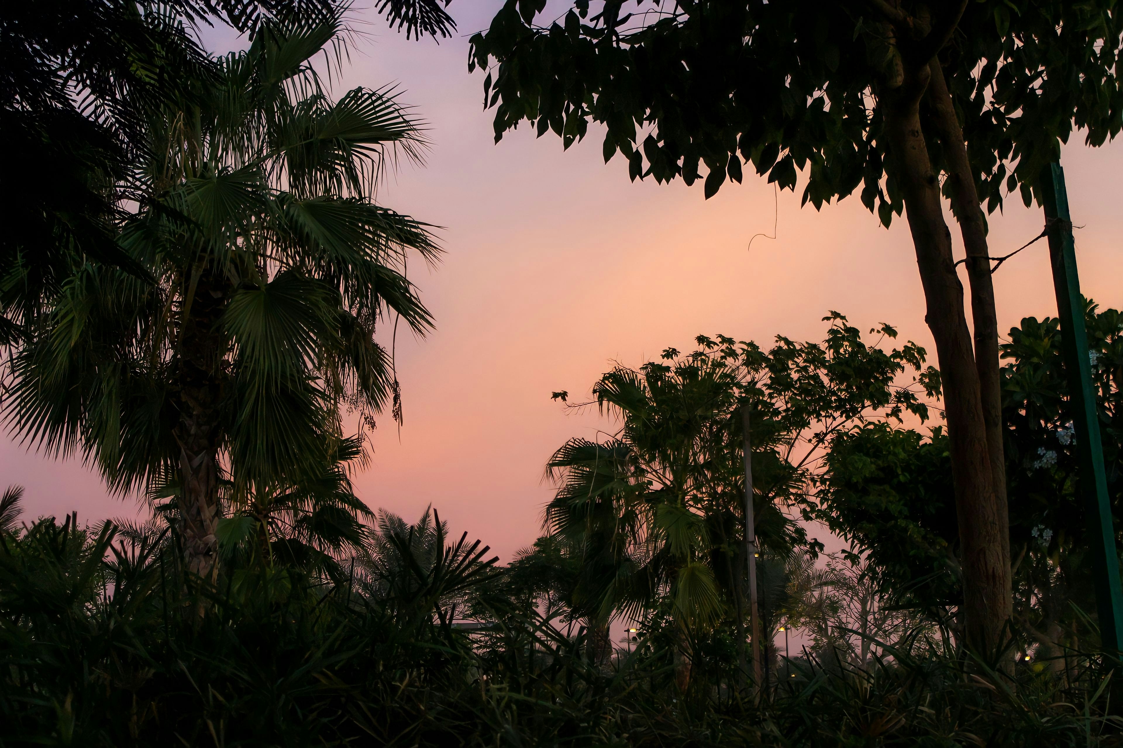 the sky is pink and purple as the sun sets