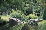 A serene landscape featuring a luxury eco lodge surrounded by nature.