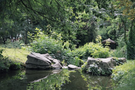 A serene natural landscape featuring lush green foliage, rocks, and a calm body of water reflecting the surroundings. Tall trees create a canopy overhead, and there is a rustic thatched structure in the background, adding to the tranquil atmosphere.