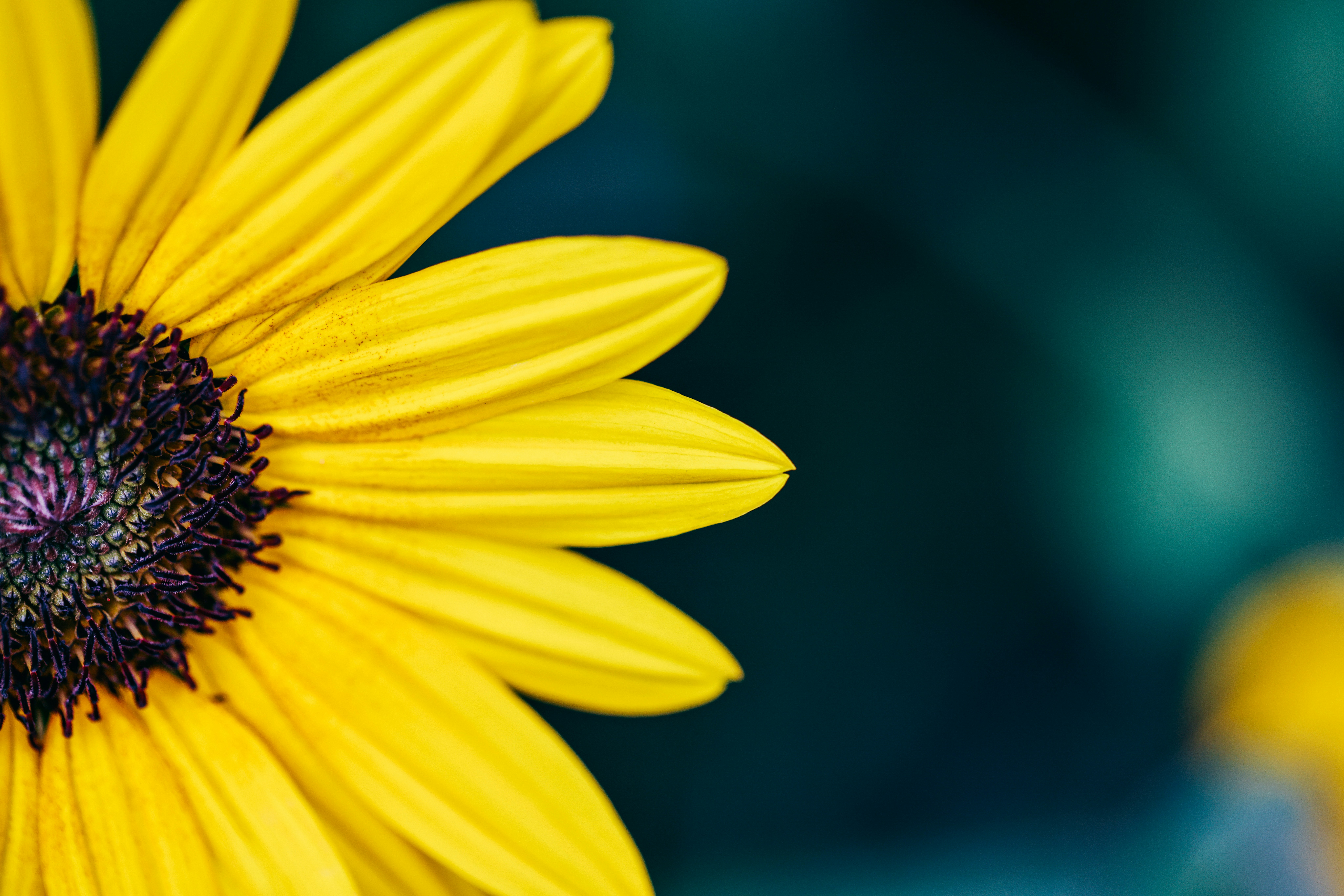 Photo by dickenslin76