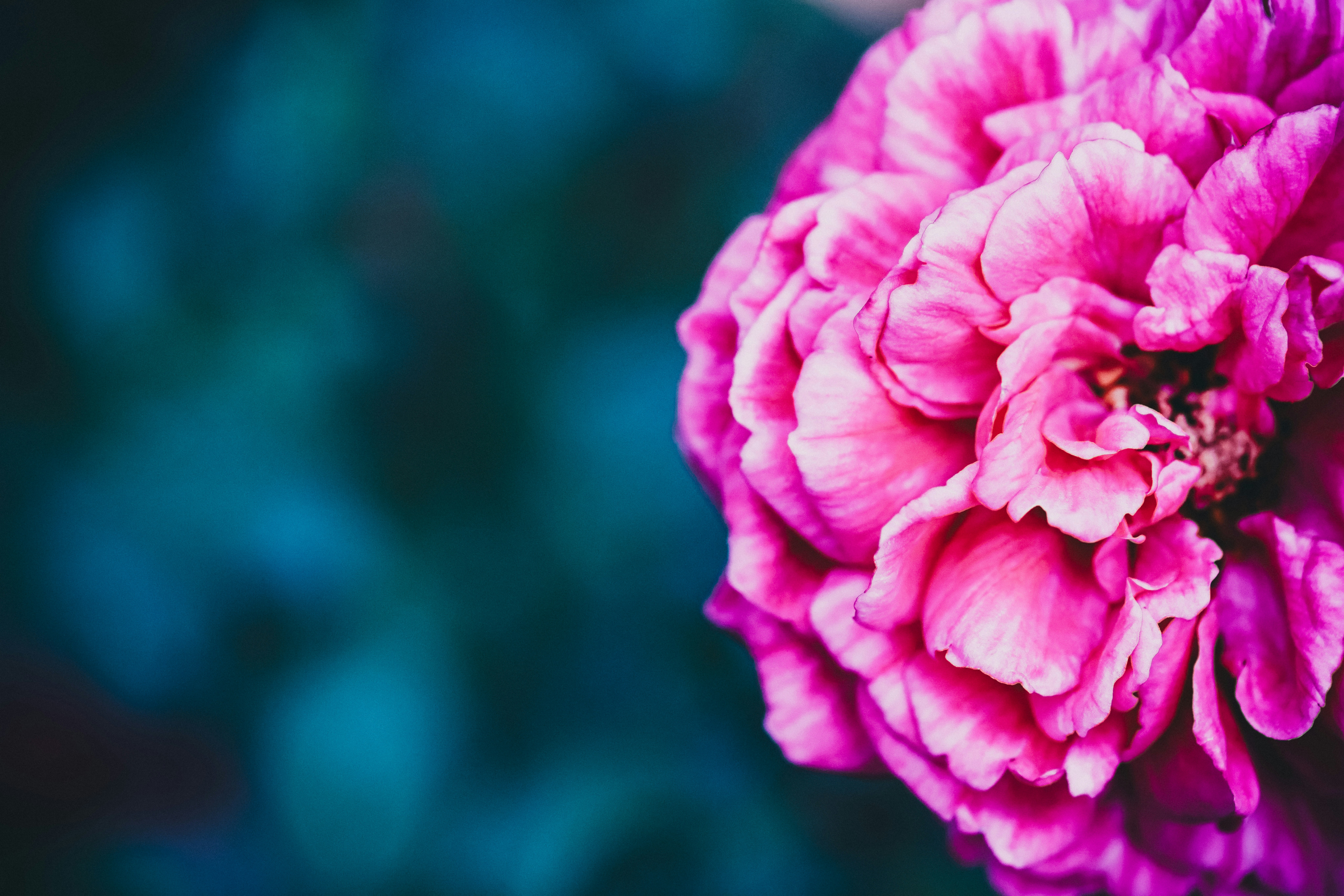 Photo by dickenslin76