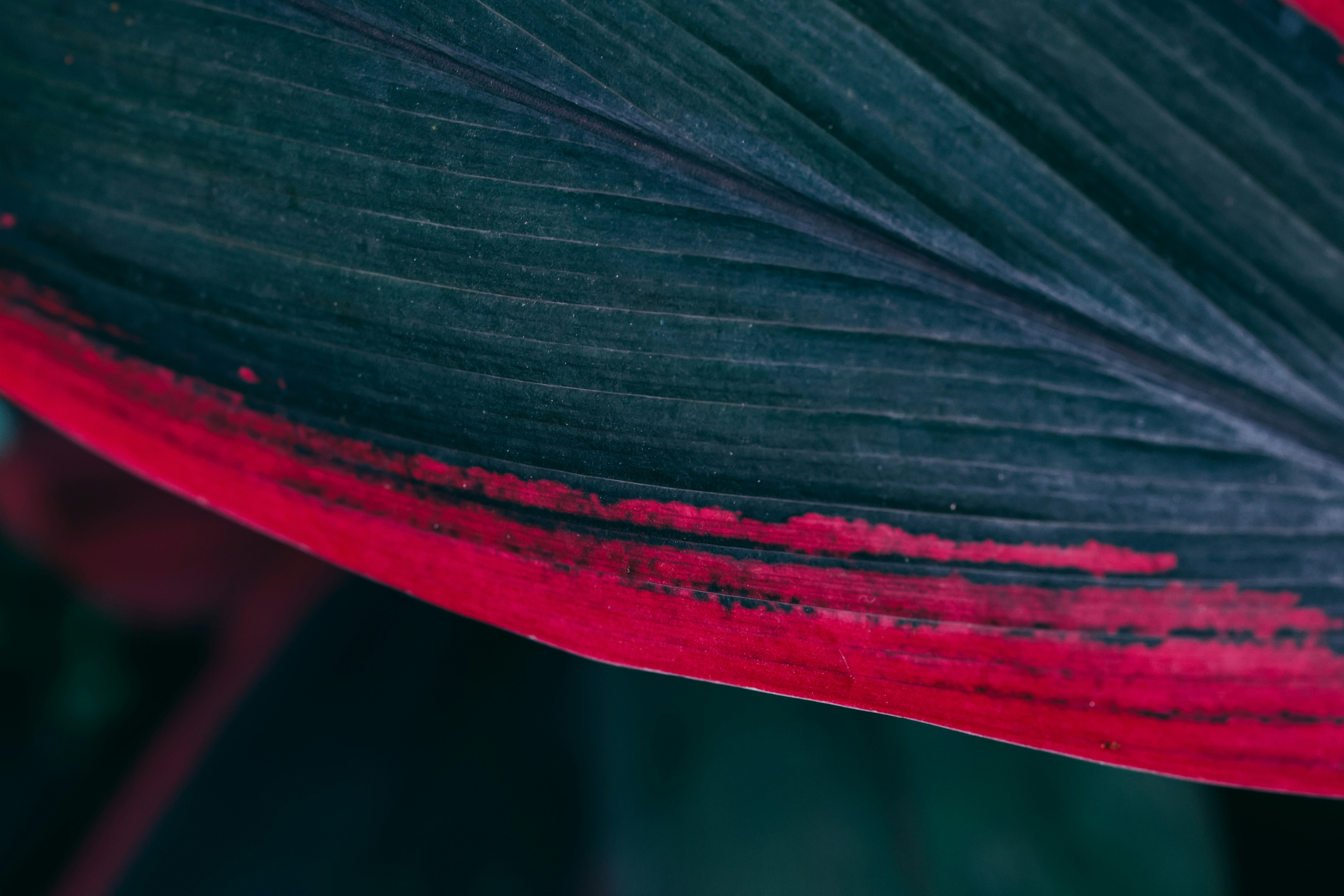 Photo by dickenslin76