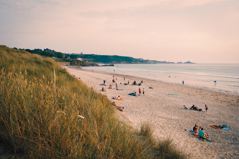 a group of people sitting on top of a sandy beach