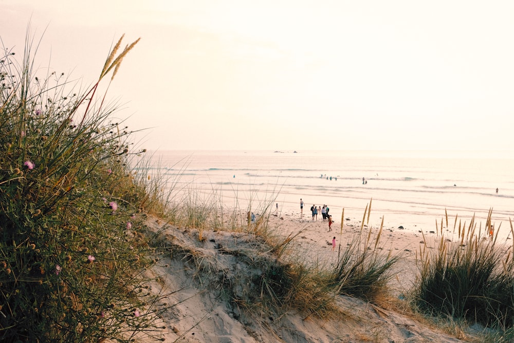 a group of people standing on top of a sandy beach