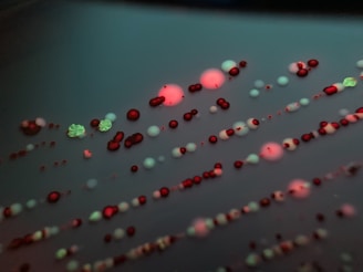 Close-up image of microbial colonies growing on a petri dish under laboratory lighting.