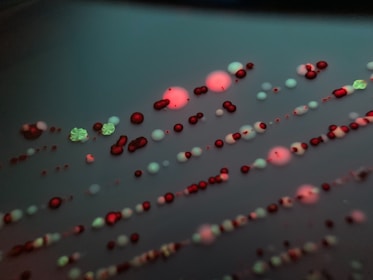 Various colorful colonies, including small red and green dots and larger clusters, are scattered across a dark surface in a pattern typical of microbial growth. The image has a detailed focus on the intricate arrangement and subtle textures of the colonies.