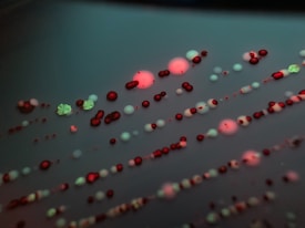 Various colorful colonies, including small red and green dots and larger clusters, are scattered across a dark surface in a pattern typical of microbial growth. The image has a detailed focus on the intricate arrangement and subtle textures of the colonies.