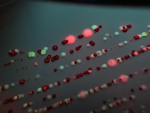 Various colorful colonies, including small red and green dots and larger clusters, are scattered across a dark surface in a pattern typical of microbial growth. The image has a detailed focus on the intricate arrangement and subtle textures of the colonies.