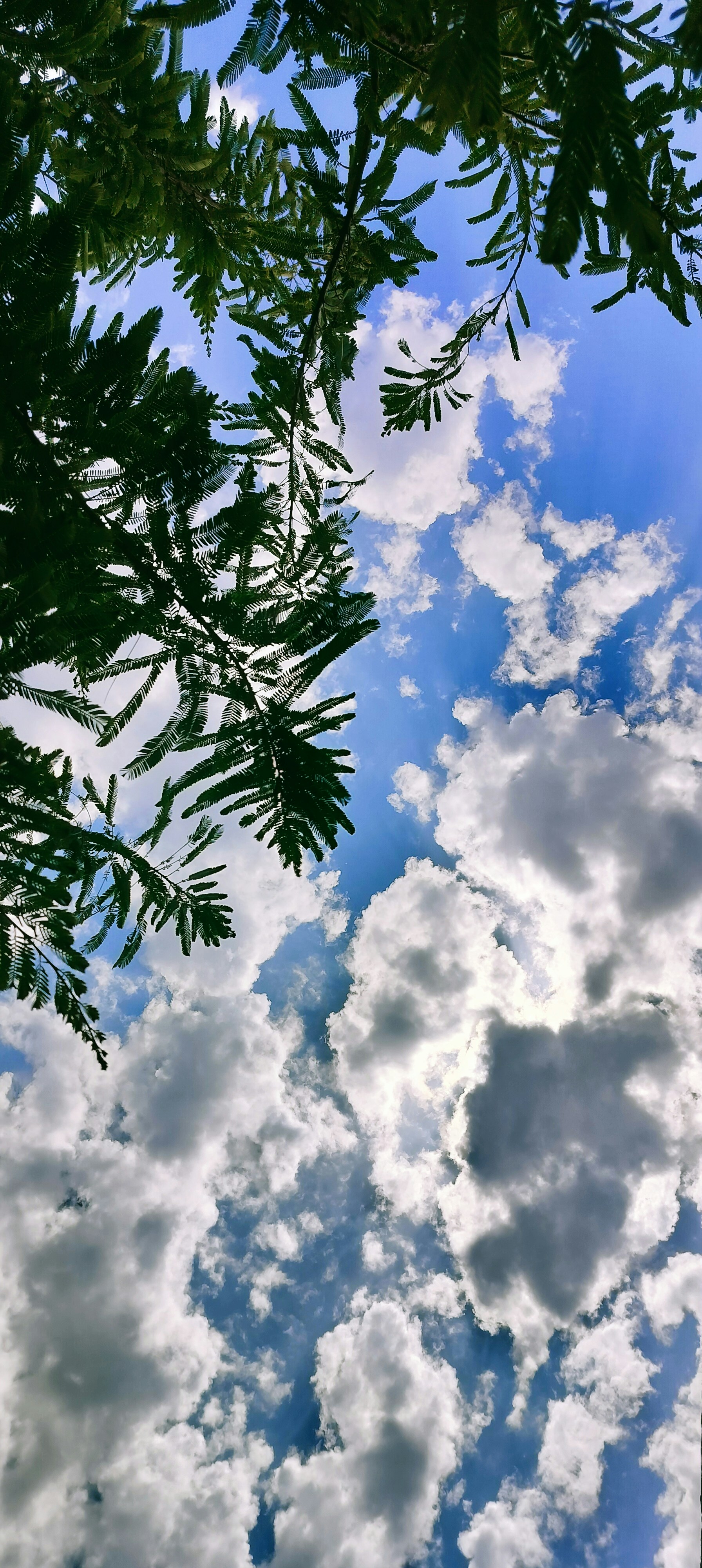 Photo by jaspreetsinghkalsi