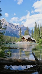 A cozy mountain cabin nestled among tall pine trees with a clear blue lake in the background.