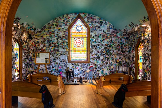 A warm, inviting photo of Susan smiling with her two playful dogs in a bright, colorful room filled with math books and sewing materials.