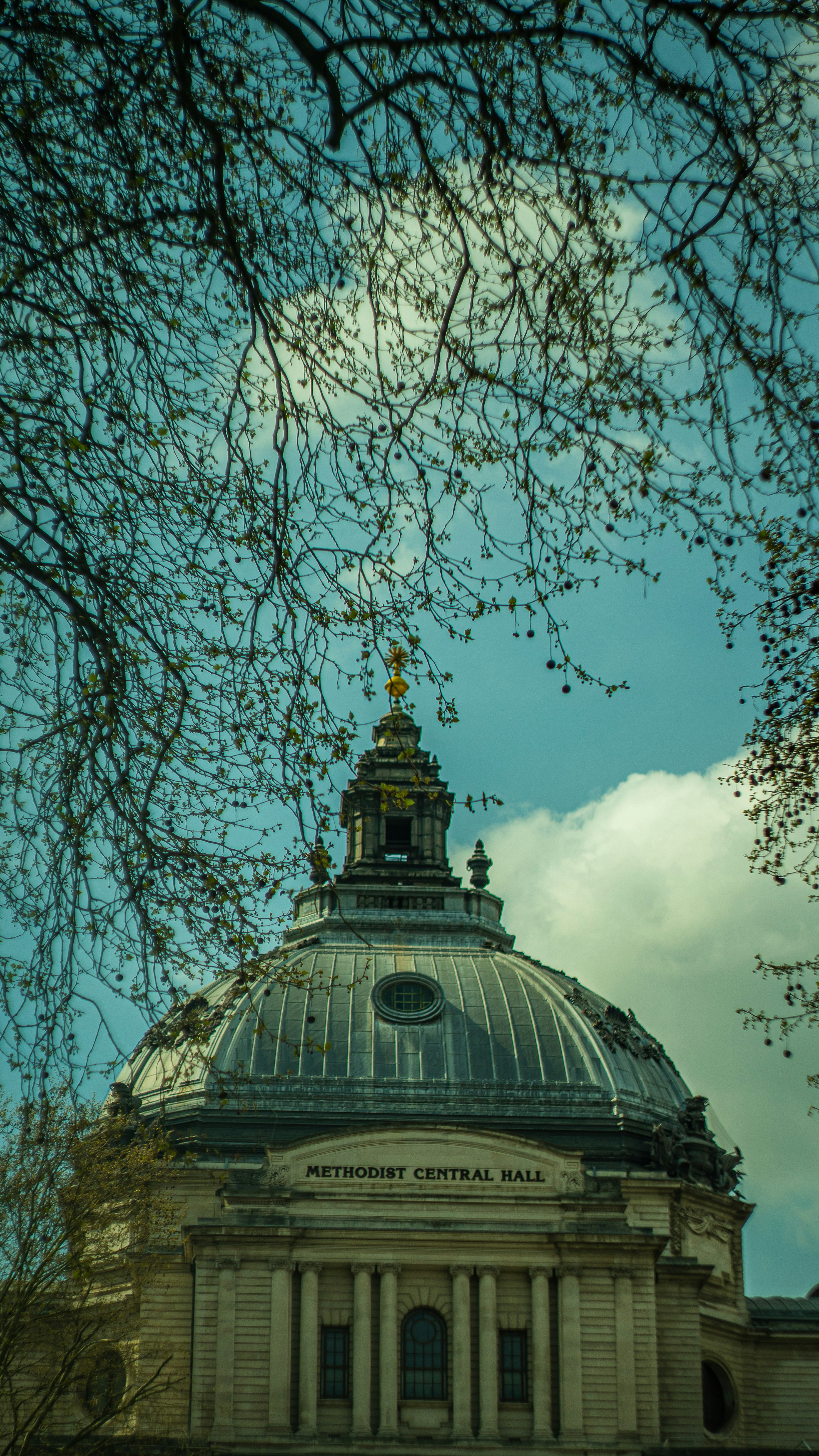 Photo by tomcapila92