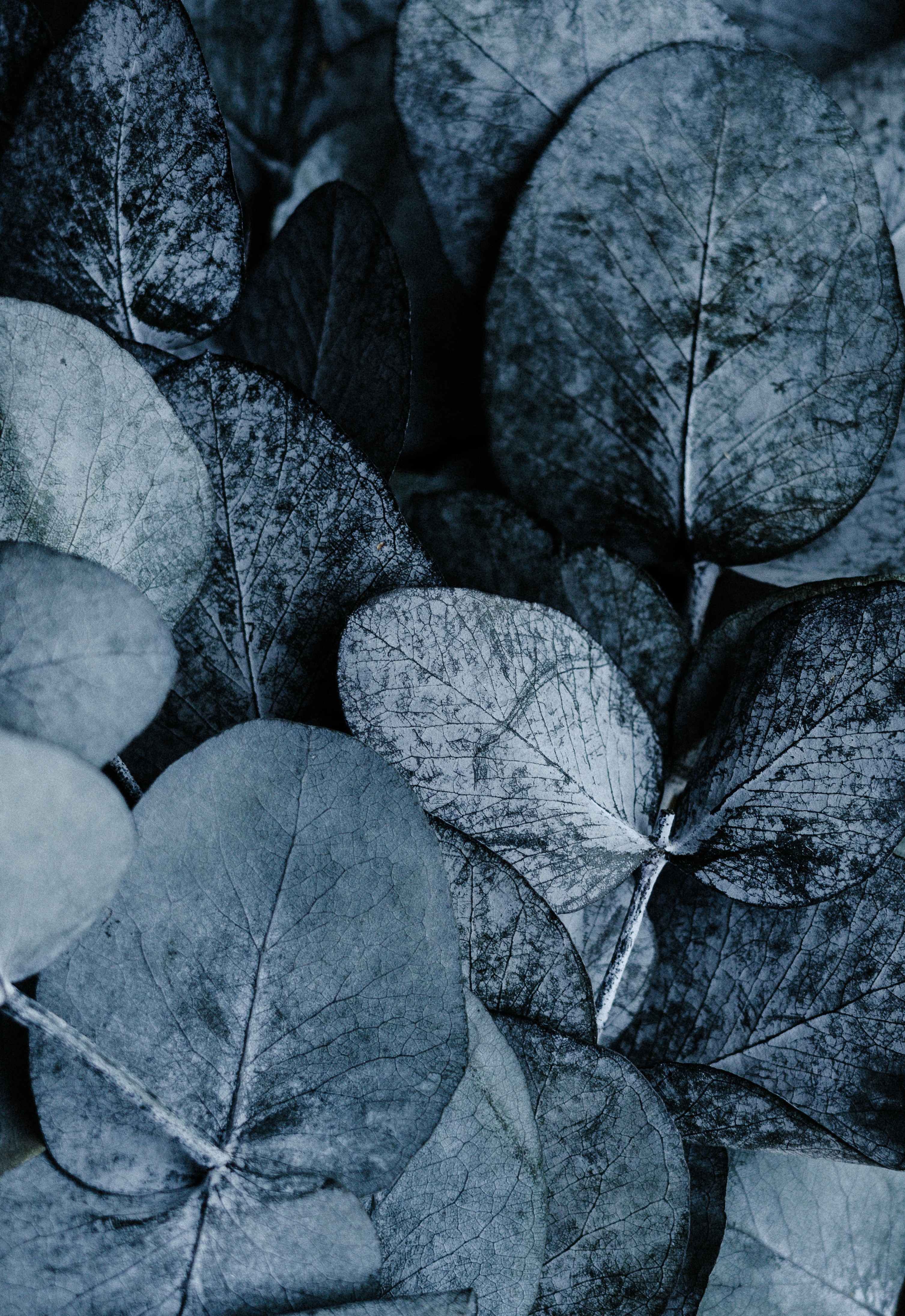 Photo by anniespratt