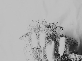 A delicate and enchanting image representing the 'Reality' section items with black gold aesthetic.