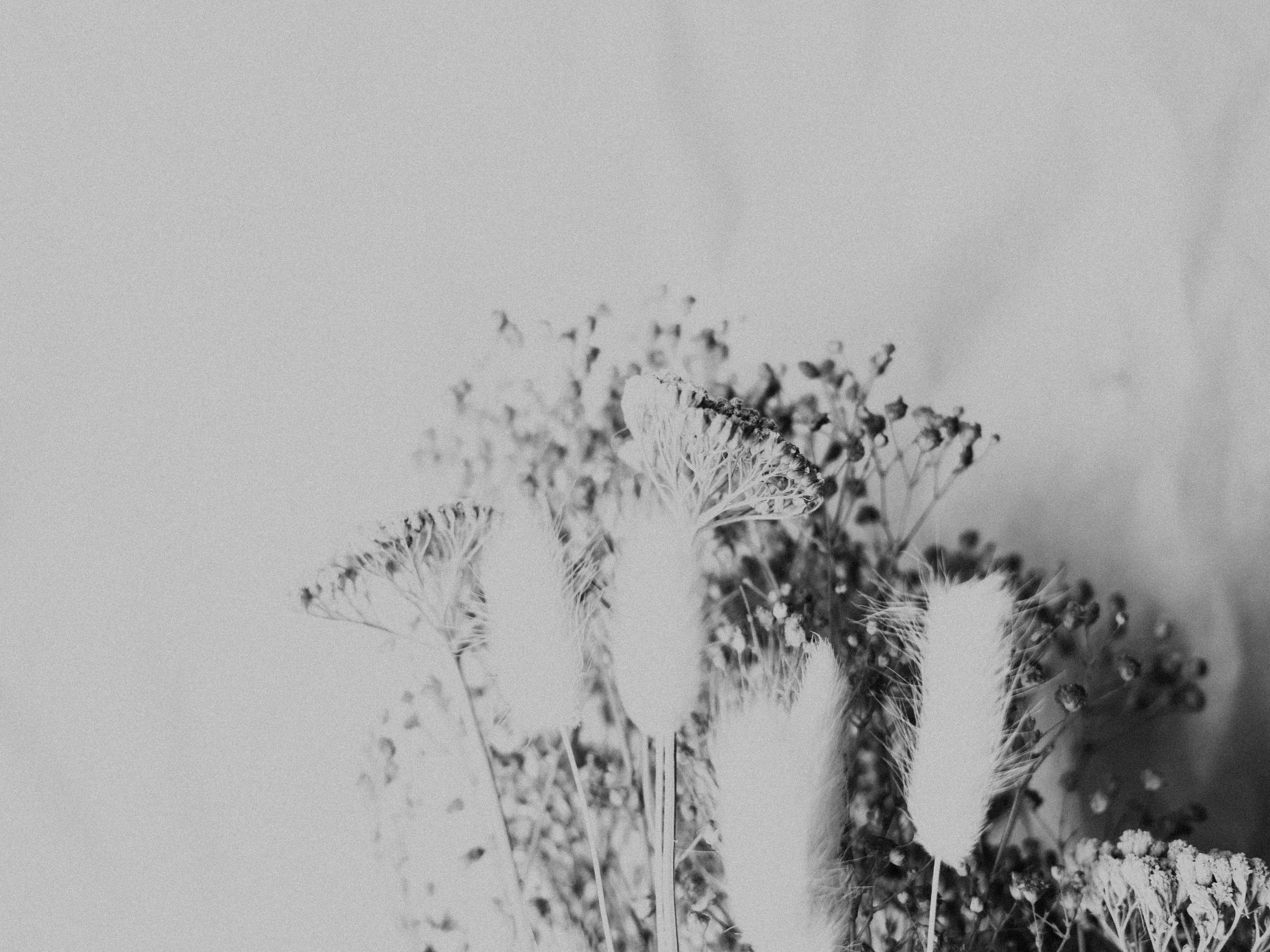 photo-1688479902181-ba50c4cc17ac?ixid=M3wxMjA3fDB8MXxzZWFyY2h8OXx8ZnJlZSUyMGFydGljbGV8ZW58MHx8fHwxNzY4MDgyMzgyfDA\u0026ixlib=rb-4.1.0