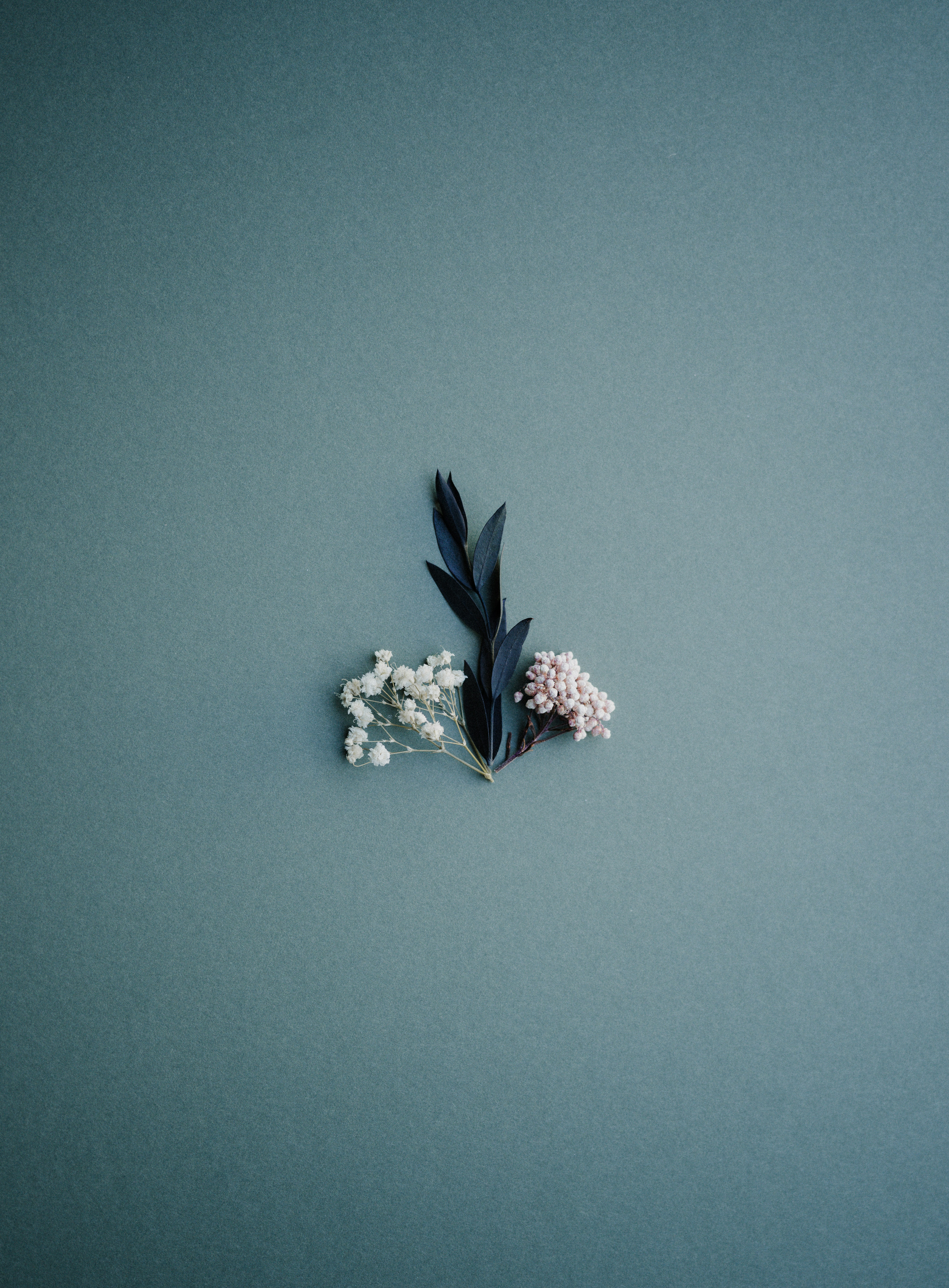 Photo by anniespratt