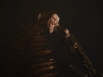 A delicate vintage-inspired wall art piece featuring pressed flowers arranged like a Victorian botanical illustration