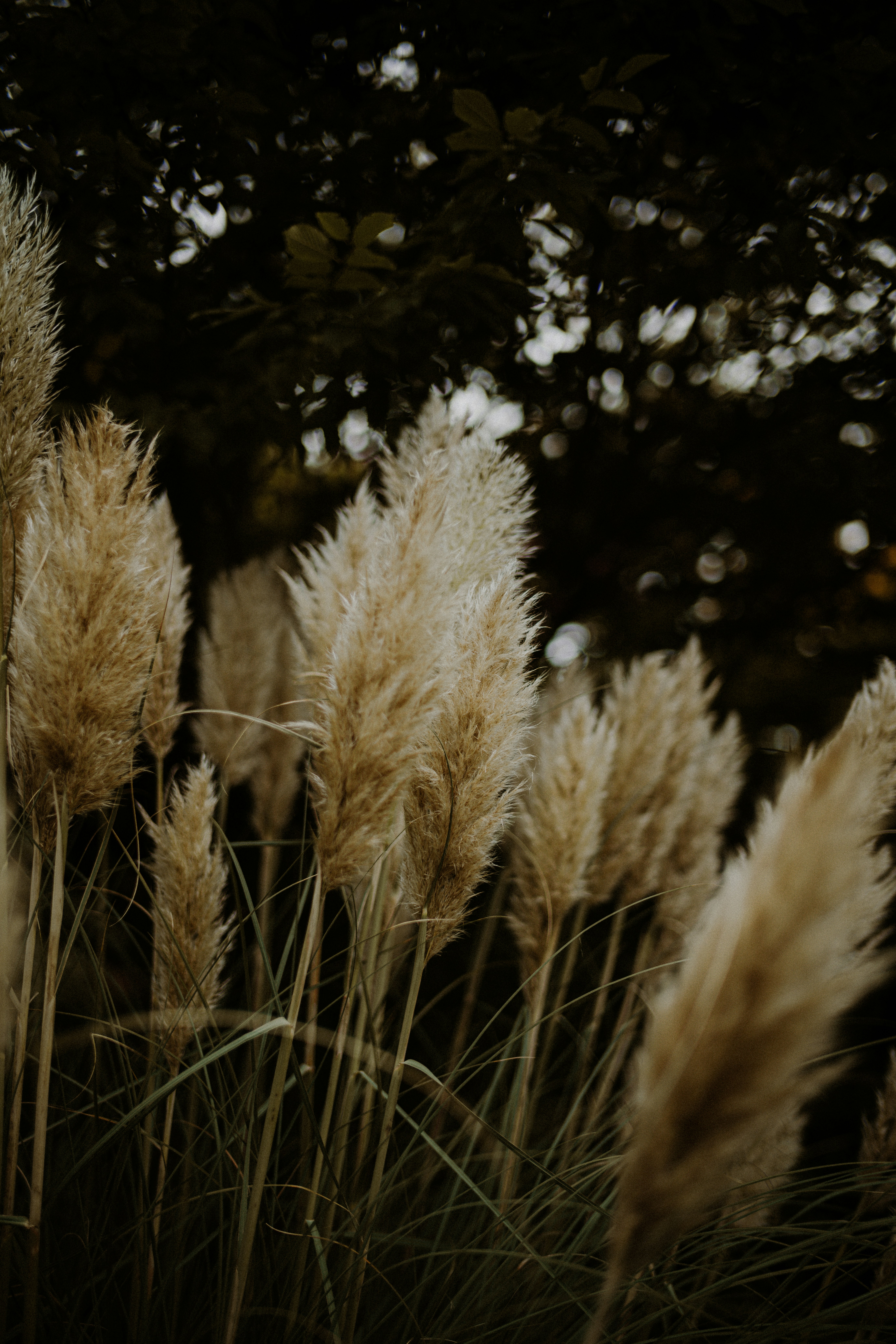 Photo by anniespratt