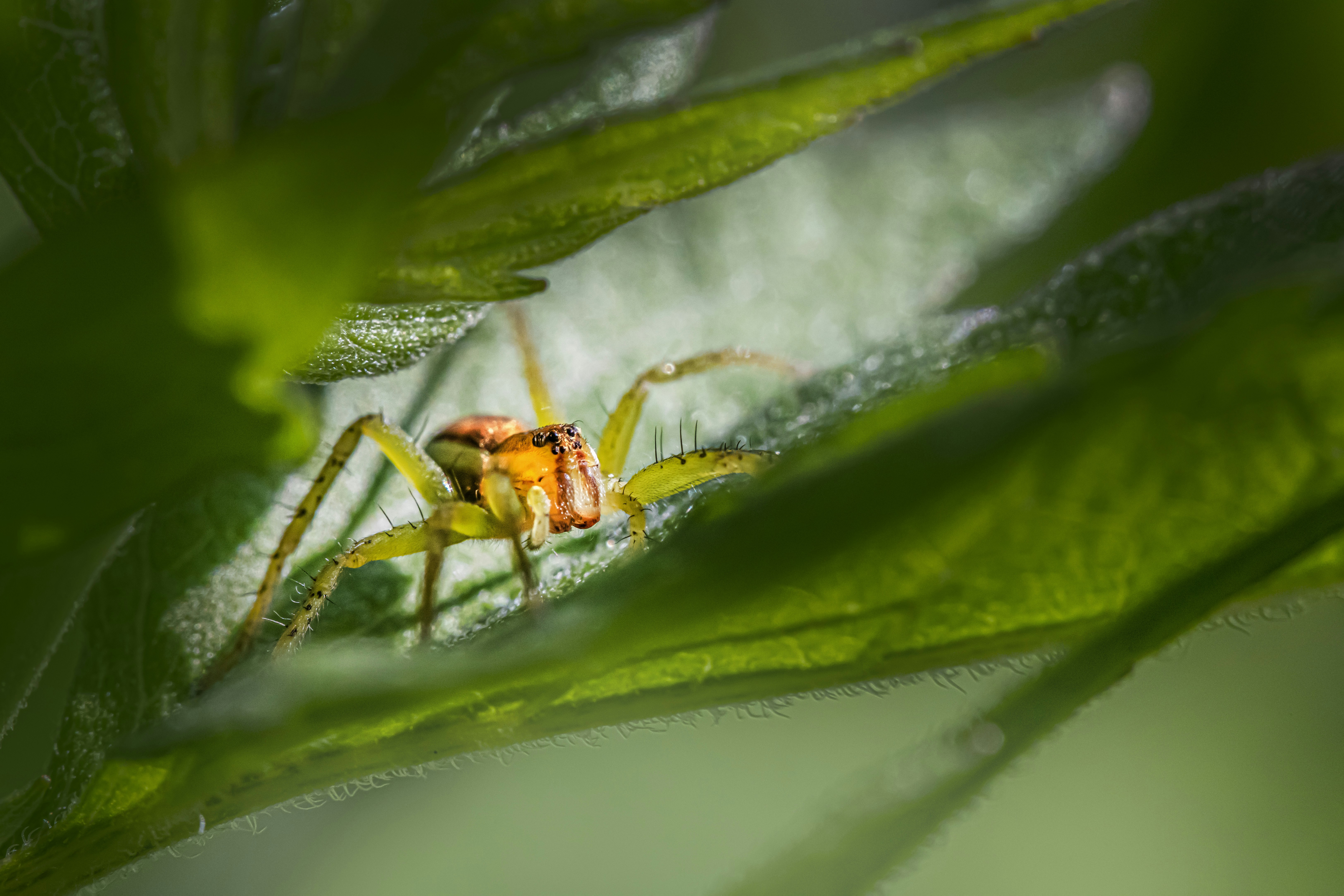 Photo by erik_karits