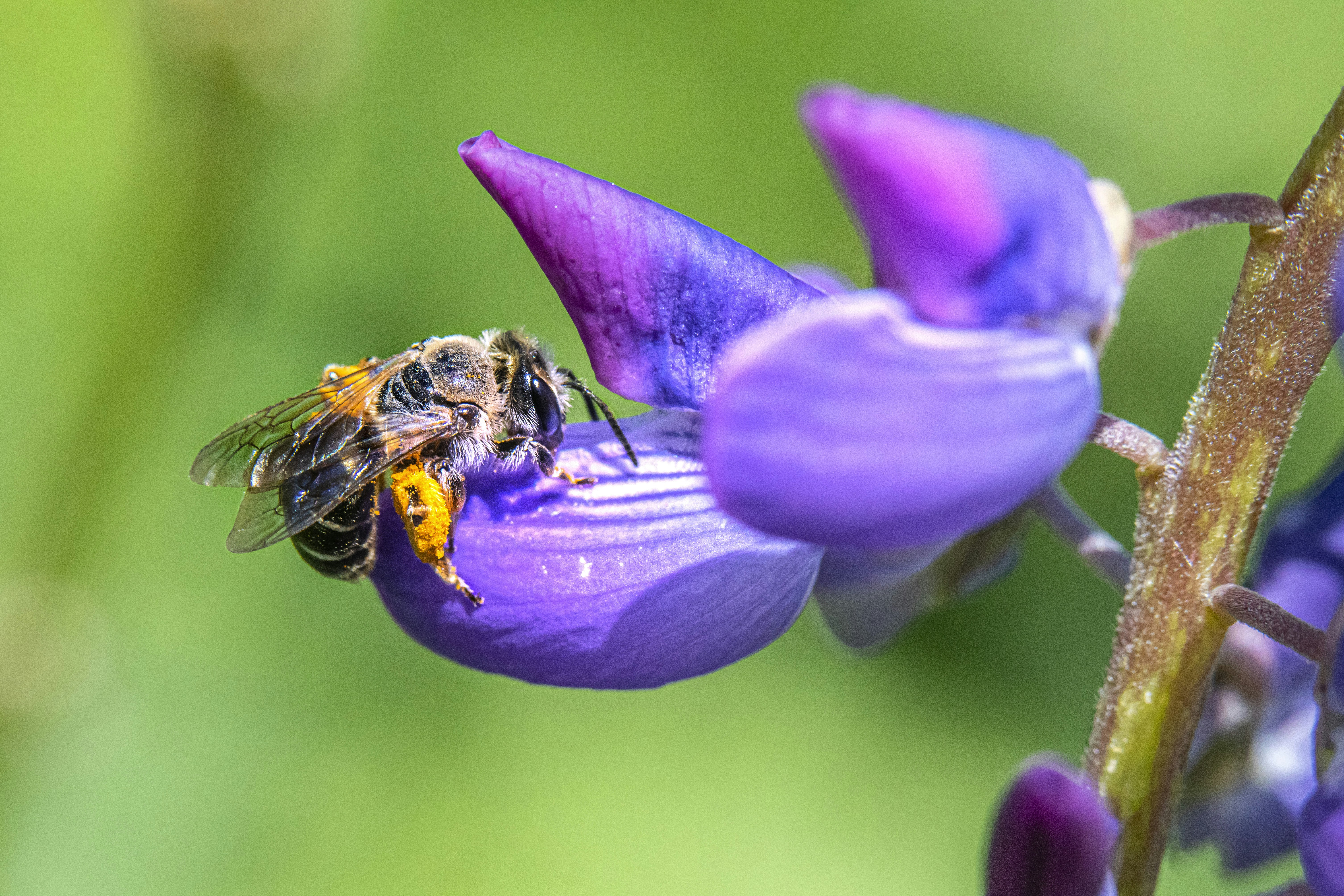 Photo by erik_karits