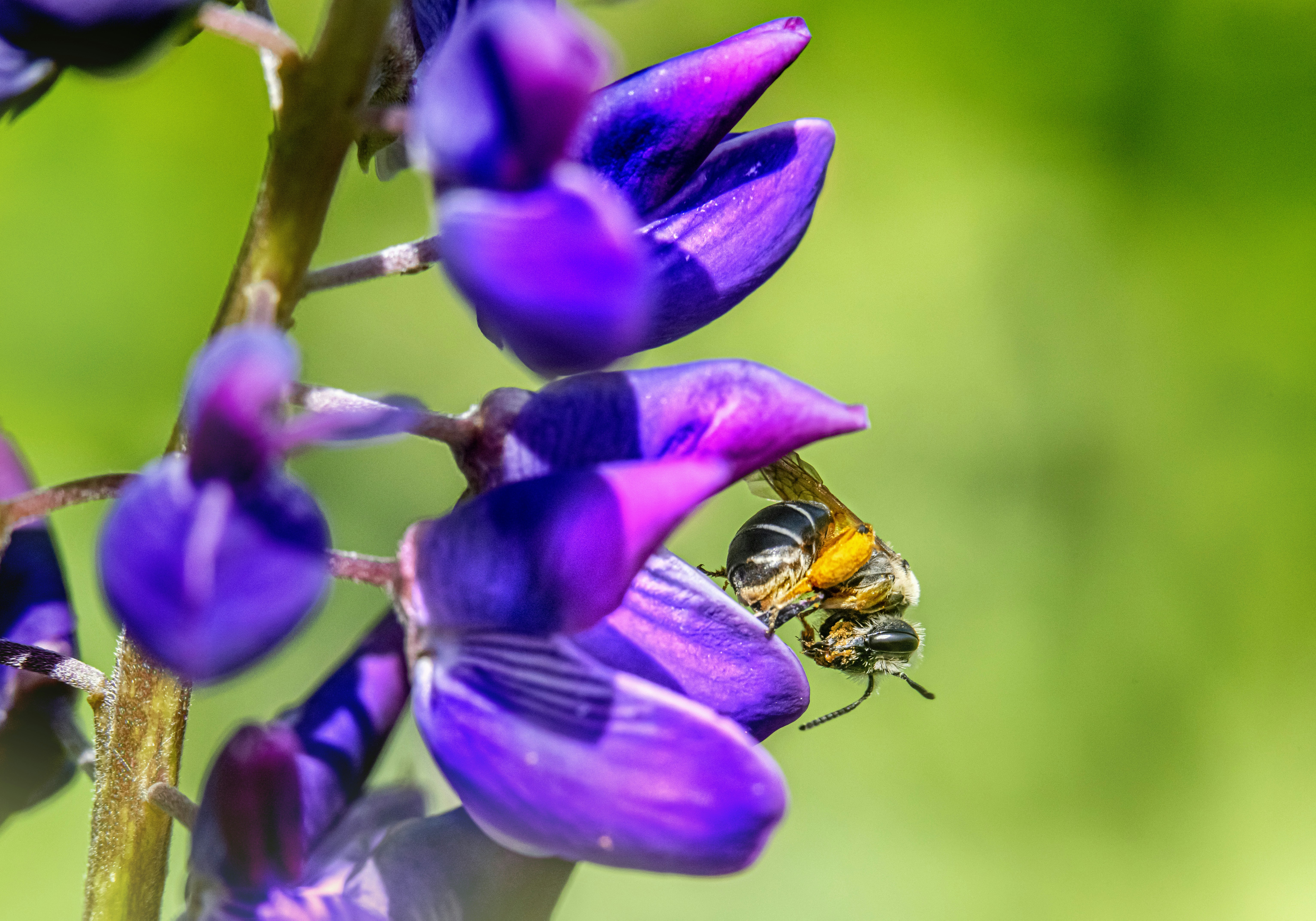 Photo by erik_karits