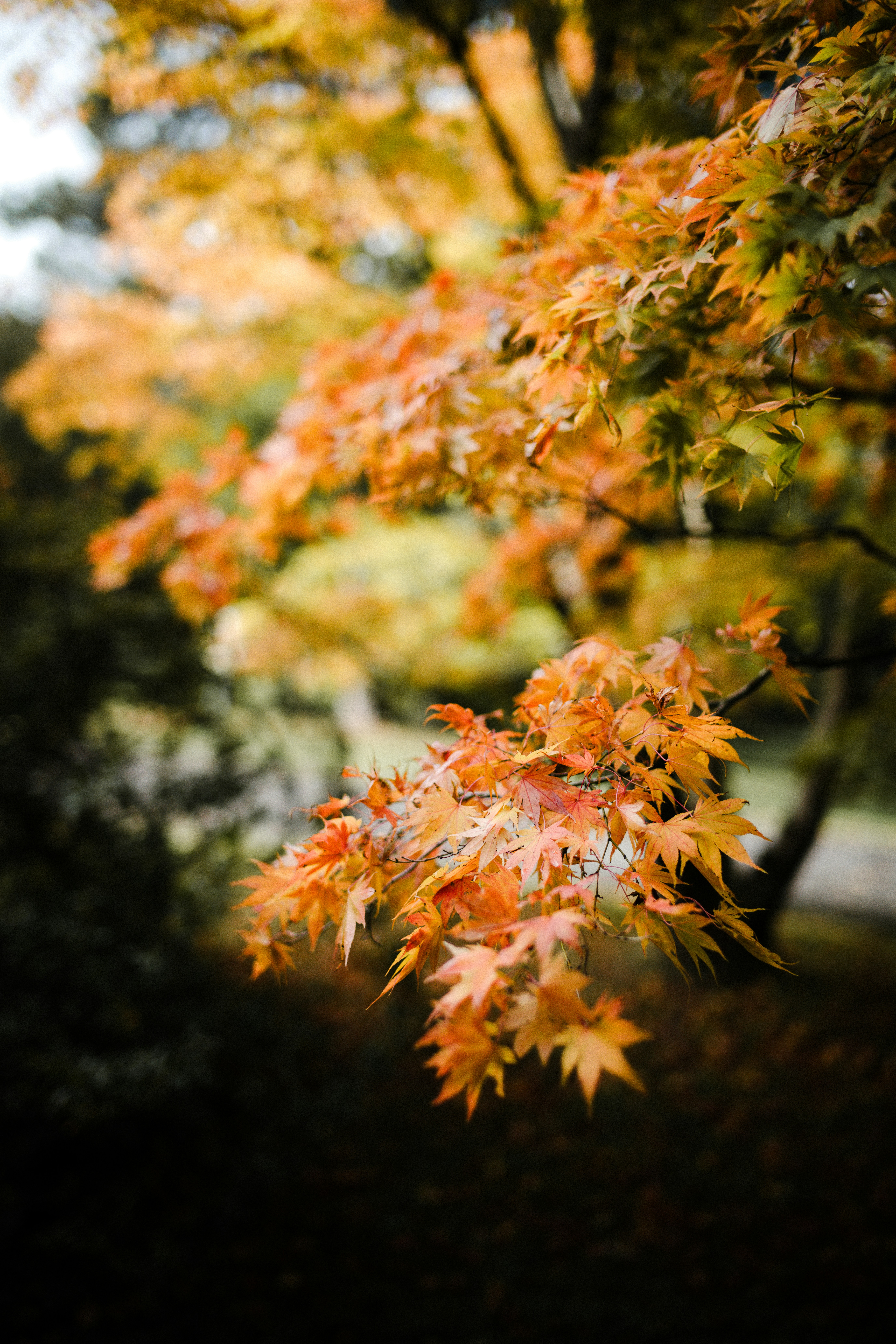 Photo by anniespratt