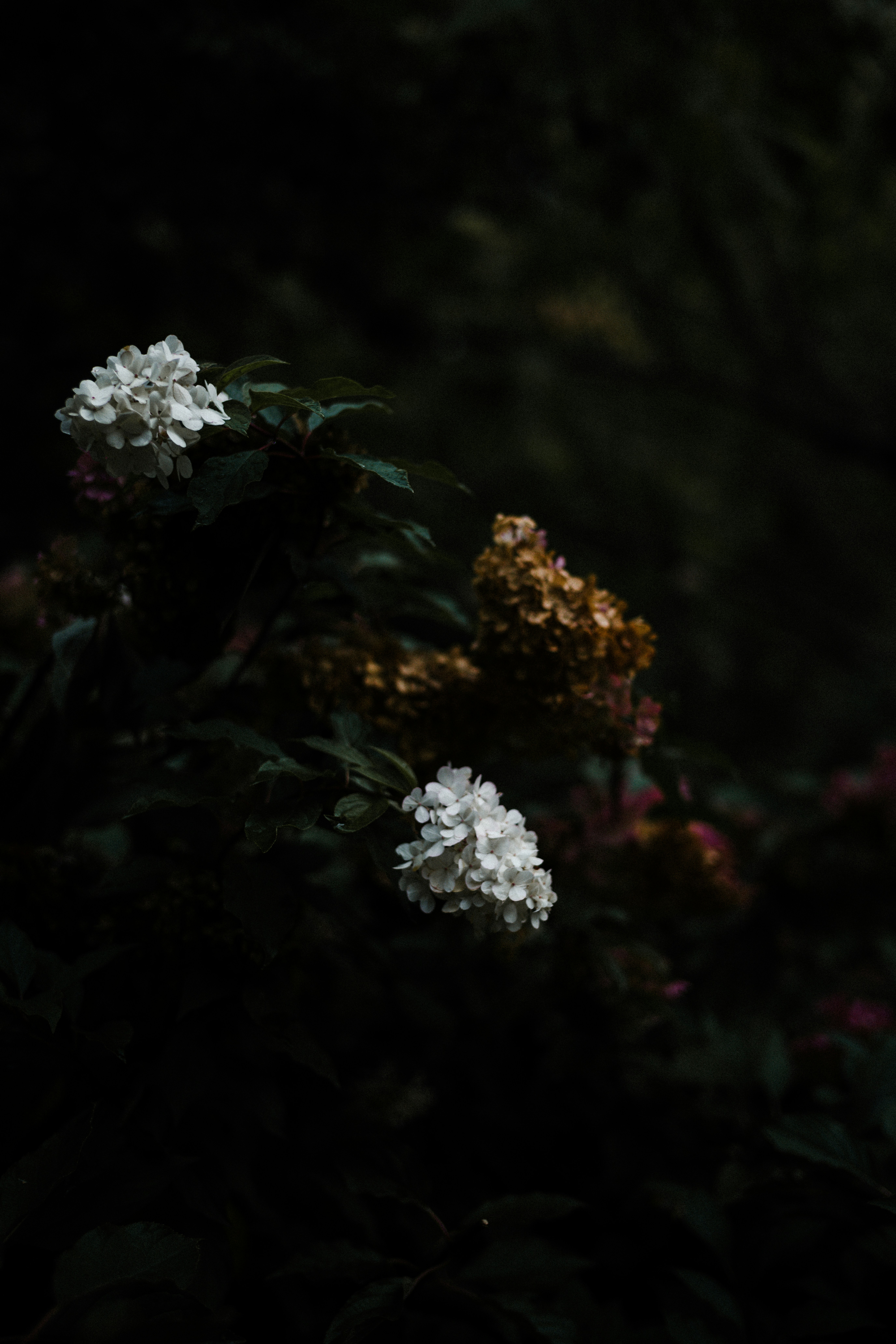 Photo by anniespratt