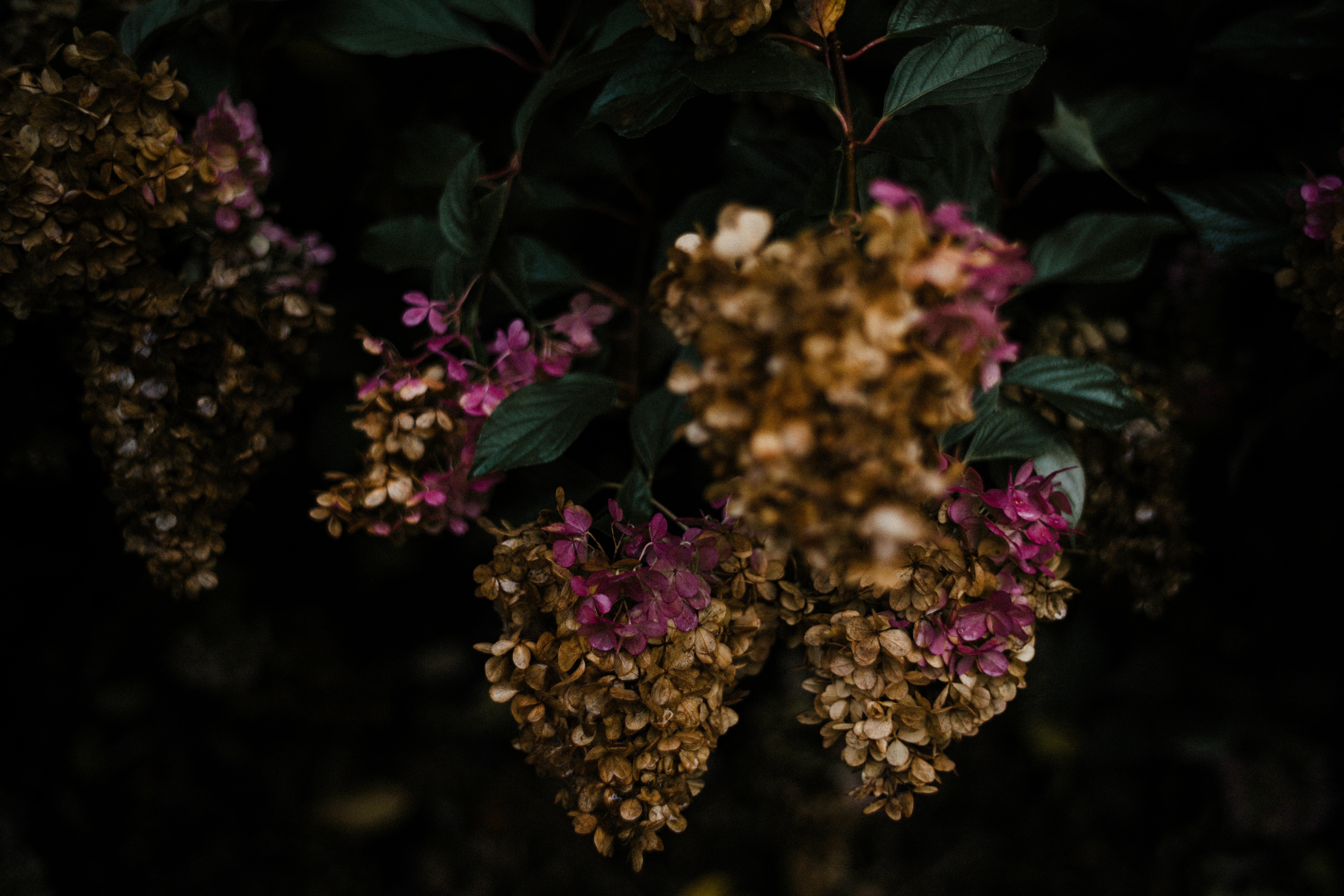 Photo by anniespratt