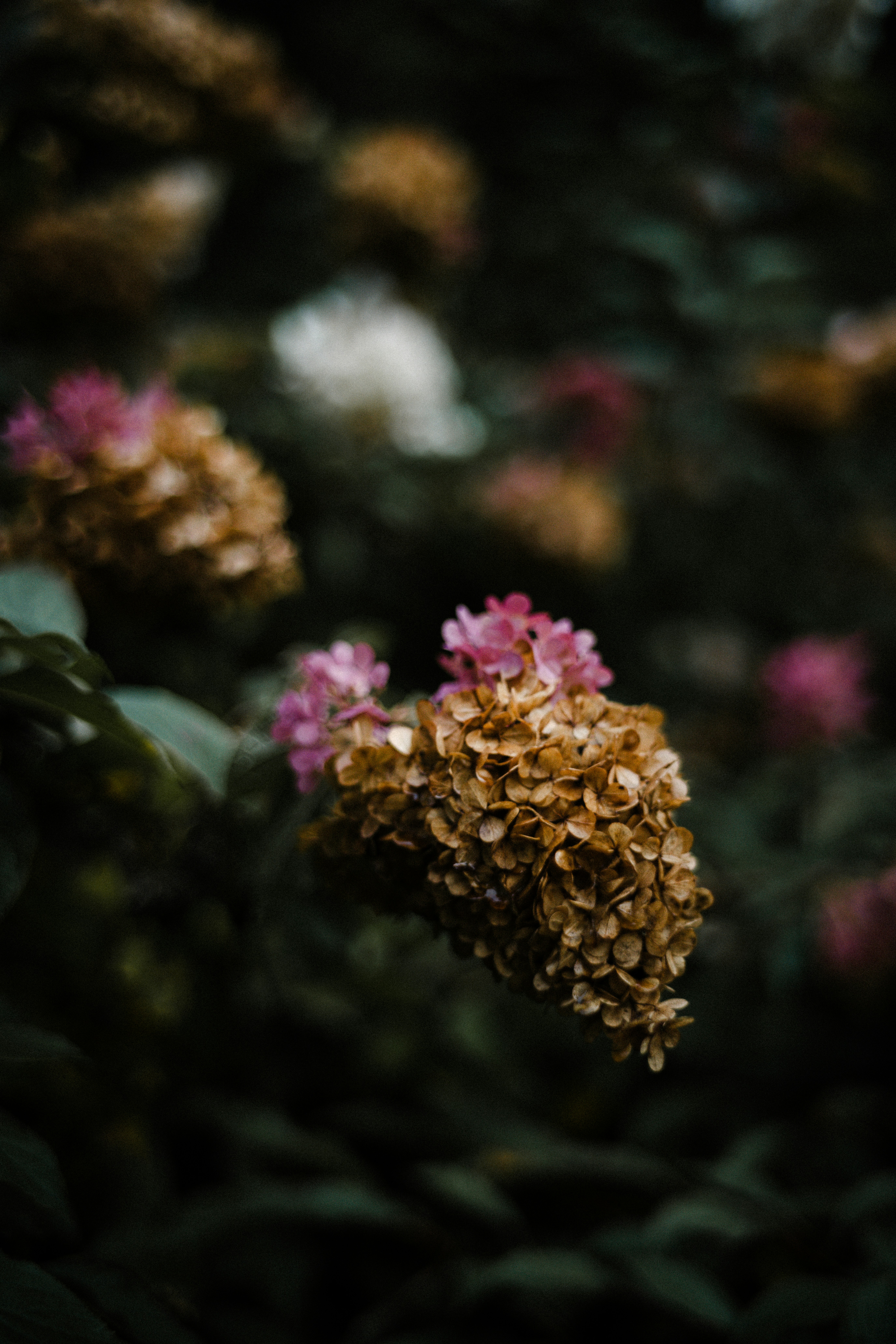 Photo by anniespratt