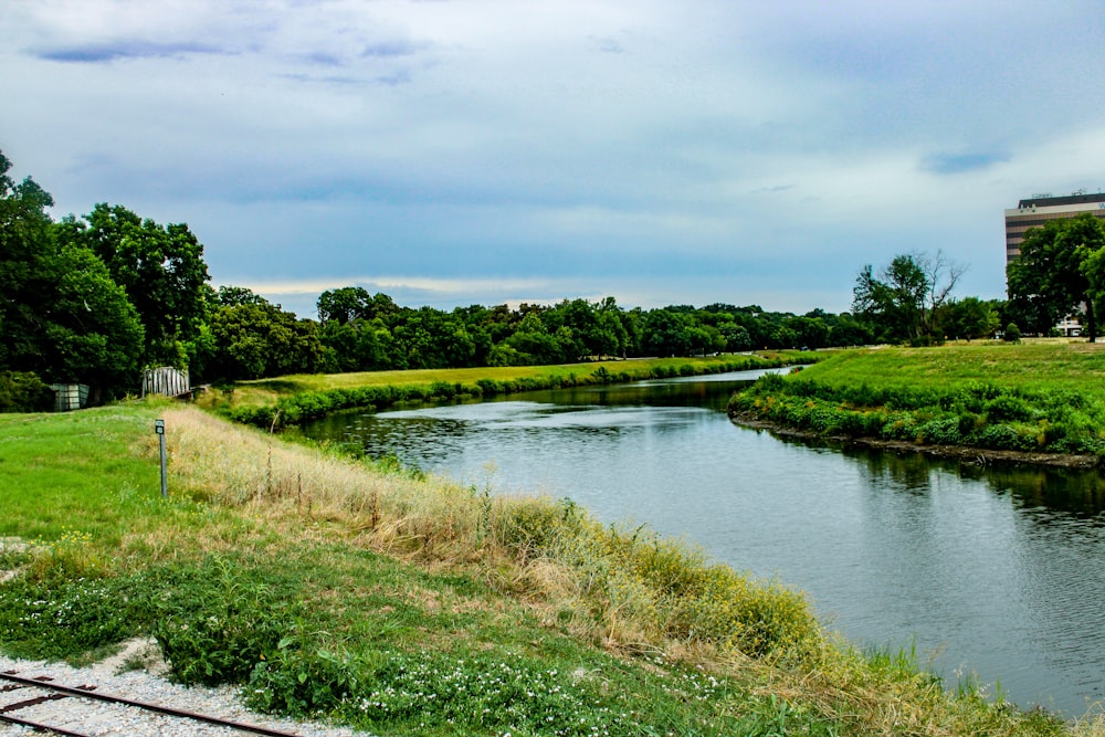 a river running through a lush green park