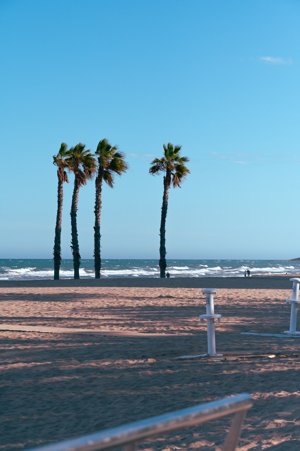 a row of palm trees sitting on top of a sandy beach