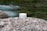A jar of face cream labeled 'Bio Crema Viso' by PLANTADEA is placed on a large, textured rock. The background features a flowing stream with greenish water and blurred natural surroundings.