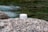 A jar of face cream labeled 'Bio Crema Viso' by PLANTADEA is placed on a large, textured rock. The background features a flowing stream with greenish water and blurred natural surroundings.