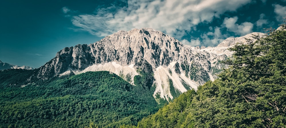 a view of a mountain range with trees in the foreground