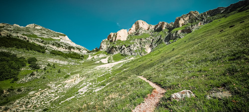 a path in the middle of a green mountain