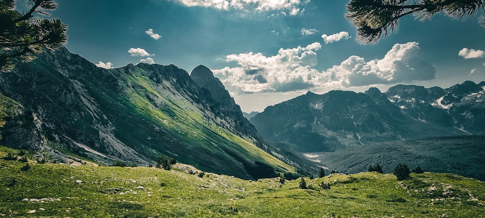 a grassy valley with mountains in the background